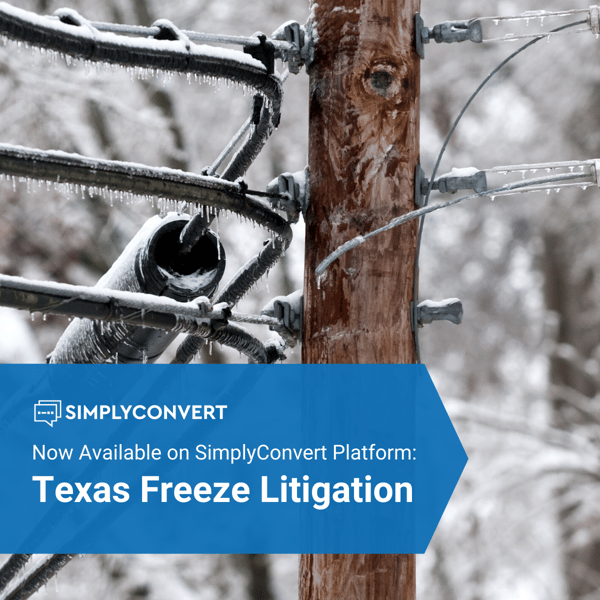 Texas Freeze Litigation