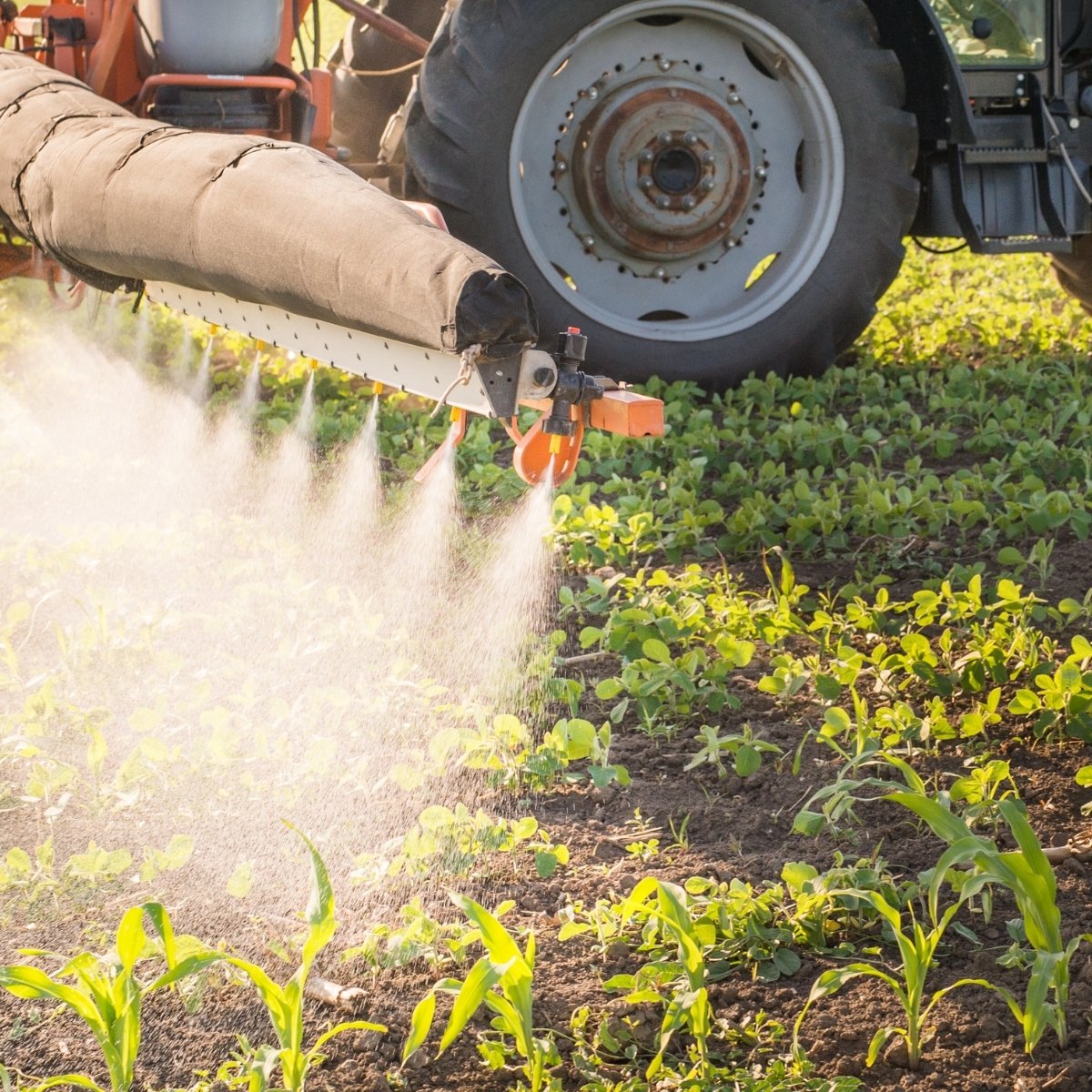 Paraquat being sprayed on a field