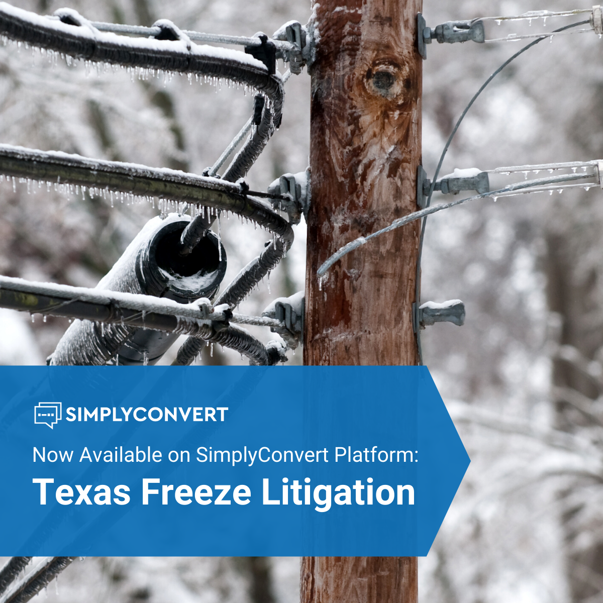 Texas Freeze Litigation